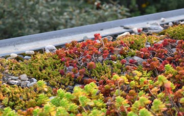 the cost of Stockton On Tees green roof installation