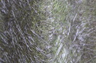 Stockton On Tees fibreglass roof work